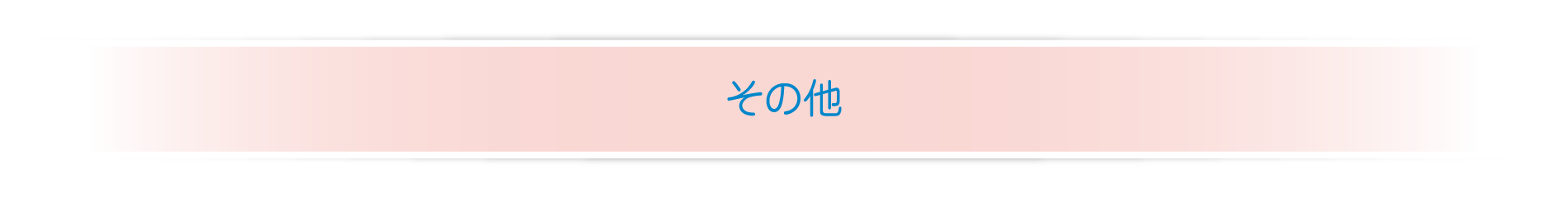 その他