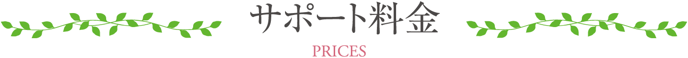 サポート料金